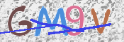 この文字を入力してください