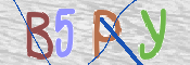 この文字を入力してください