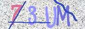 この文字を入力してください