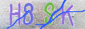 この文字を入力してください