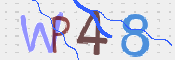 この文字を入力してください