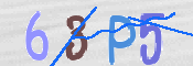 この文字を入力してください
