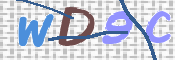 この文字を入力してください