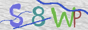 この文字を入力してください