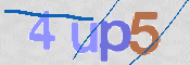 この文字を入力してください