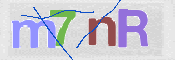 この文字を入力してください