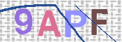 この文字を入力してください