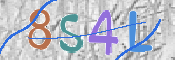 この文字を入力してください