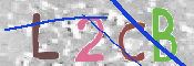 この文字を入力してください