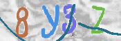 この文字を入力してください