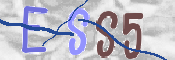 この文字を入力してください