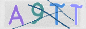 この文字を入力してください
