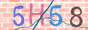 この文字を入力してください