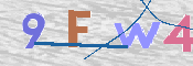 この文字を入力してください