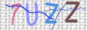 この文字を入力してください