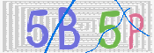 この文字を入力してください