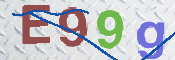 この文字を入力してください