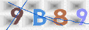 この文字を入力してください