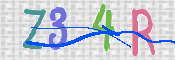 この文字を入力してください