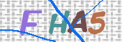 この文字を入力してください