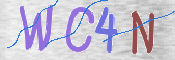 この文字を入力してください