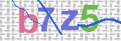 この文字を入力してください