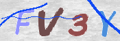 この文字を入力してください