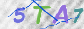 この文字を入力してください