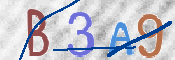 この文字を入力してください