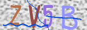 この文字を入力してください