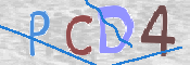 この文字を入力してください