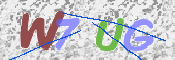 この文字を入力してください