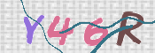 この文字を入力してください
