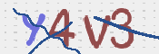 この文字を入力してください