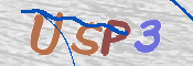 この文字を入力してください