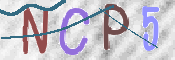 この文字を入力してください