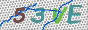 この文字を入力してください