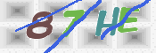 この文字を入力してください
