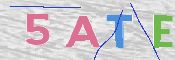 この文字を入力してください