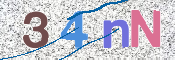 この文字を入力してください