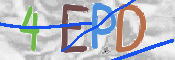 この文字を入力してください