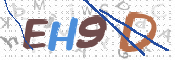 この文字を入力してください