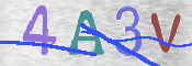 この文字を入力してください