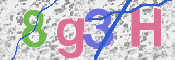 この文字を入力してください