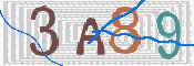 この文字を入力してください