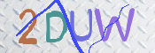 この文字を入力してください