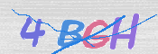 この文字を入力してください
