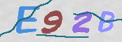 この文字を入力してください