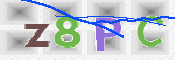 この文字を入力してください