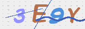 この文字を入力してください